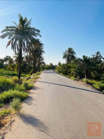 أرض في التاجي بمساحة 10 دونم للبيع في بغداد
