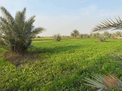أرض في التاجي بمساحة 10 دونم للبيع في بغداد
