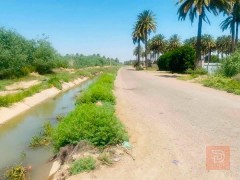 أرض في التاجي بمساحة 10 دونم للبيع في بغداد