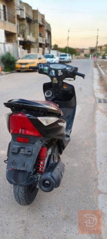 دراجة ثعلب أو المرواس للبيع في بغداد