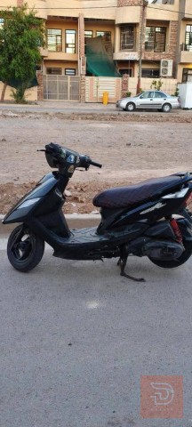 دراجة ثعلب أو المرواس للبيع في بغداد
