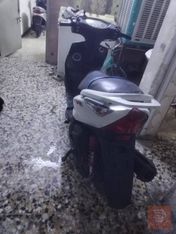 ماكس ثعلب ياباني ١٤٠ جديد للبيع في بغداد