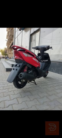 دراجة ماكس ثعلب بلاديه مستعمل للبيع في بغداد