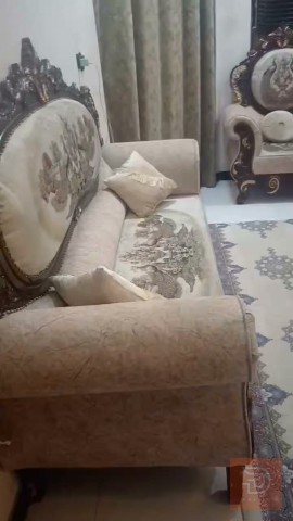 مطلوب تخم تسگام 10 مقاعد في واسط