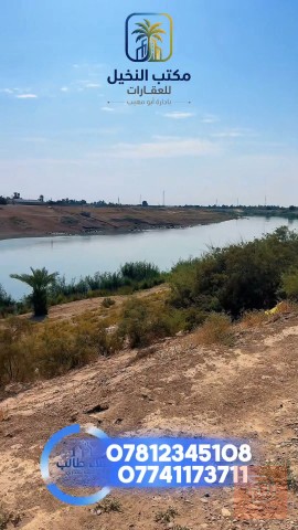 مزرعة شاطئية ببيتين على دجلة الدونم ب ٧٥ للبيع في بغداد