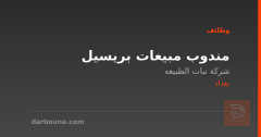 مندوب مبيعات بريسيل — بغداد