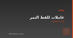 عاملات للقط التمر — كربلاء المقدسة