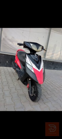 ماكس ثعل_ب مستعمل للبيع في بغداد