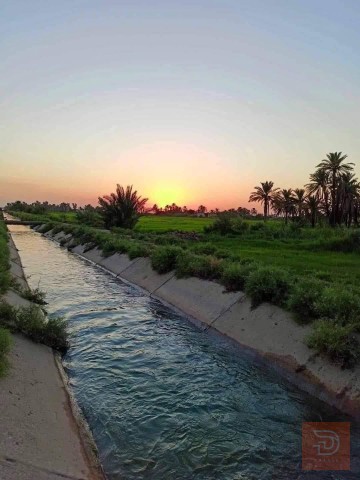 اراضي منطقة البصام خمسة دونم 5 دونم للبيع في بغداد