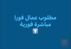 مجهزين داخل مطاعم — عموم العراق