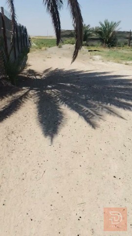 ارض زراعيه 5 دونم مع بيوت للبيع في كربلاء المقدسة
