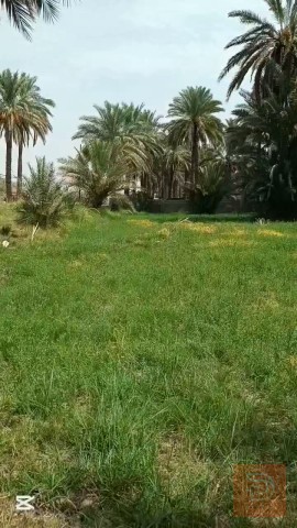 أرض بمساحة ٣ دونم بموقع في طويريج للبيع في كربلاء المقدسة