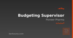 Budgeting Supervisor — السليمانية