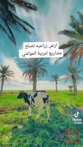 ارض زراعية للاستثمار بمساحة ٥٦ دونم للبيع في بغداد