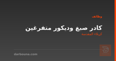 كادر صبغ وديكور متفرغين — كربلاء المقدسة