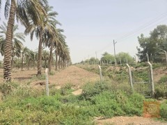 اراضي للبيع في واسط