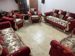 تخم درجة اولى 10 نفرات للبيع في النجف الأشرف