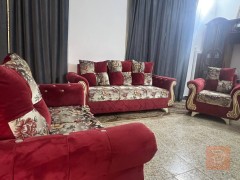 تخم درجة اولى 10 نفرات للبيع في النجف الأشرف