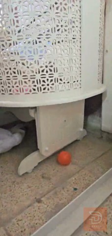 كاروك اطفال تفصيل 2 في 1 جديد للبيع في كربلاء المقدسة