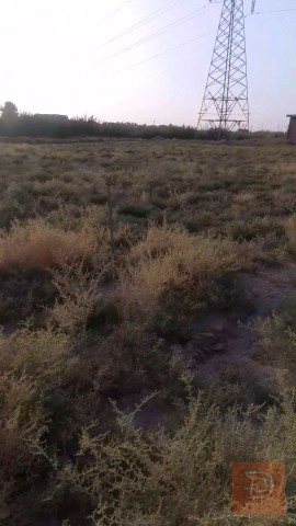 ارض طابو زراعي للبيع في الأنبار