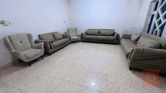 تخم تسكام خالي من الأضرار مستعمل للبيع في واسط