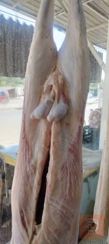طلي ديره من الرطبه للبيع في الأنبار