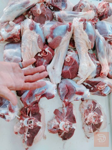 طلي ديره من الرطبه للبيع في الأنبار