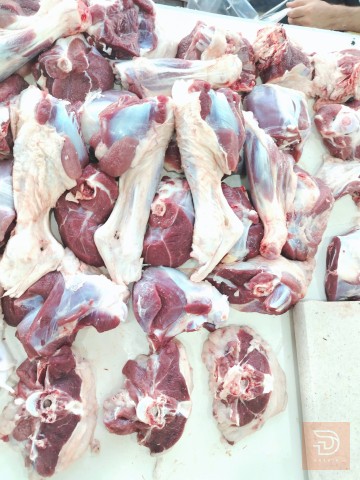 طلي ديره من الرطبه للبيع في الأنبار