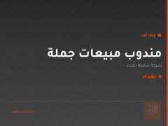 مندوب مبيعات جملة — بغداد