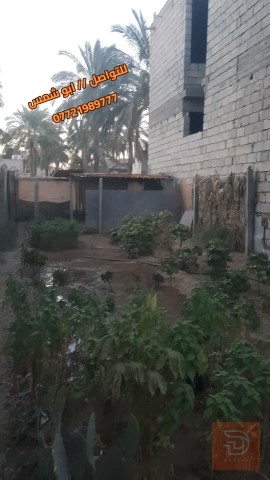 قطعة أرض طابو زراعي ١٠٠ متر للبيع في ديالى