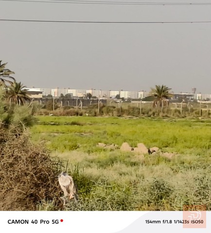 دونم طابو سند 25 في المدائن للبيع في بغداد