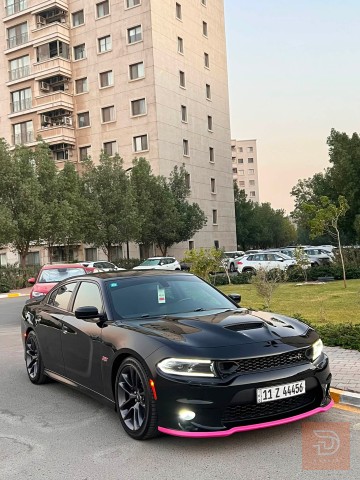 دوچ چارچر سگات باك 392 2023 للبيع في بغداد