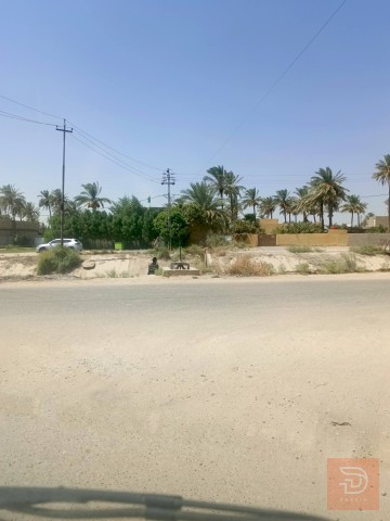 ارض زراعيه للبيع في كربلاء المقدسة