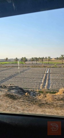 5 دوانم أرض زراعية طابو سند 25 للبيع في الأنبار