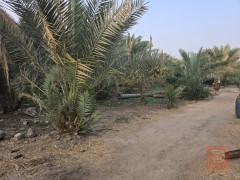 بيت وقطعة أرض 1540 متر للبيع في كربلاء المقدسة