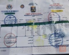 دراجة بريز رمبه جديدة للبيع في بغداد