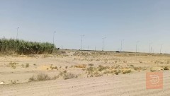 3 دوانم أرض زراعية في الرمادي للبيع في الأنبار