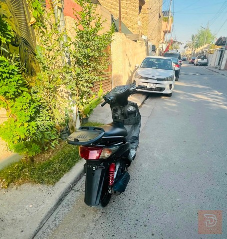 دراجة سكنس فحل مستعمل للبيع في بغداد
