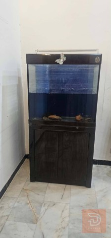 حوض سمك كامل مع دولاب سفلي أزرق للبيع في كربلاء المقدسة