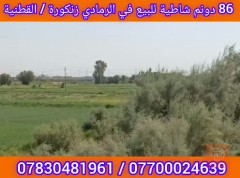 أرض زراعية 86 دونم شاطية في الرمادي للبيع في الأنبار