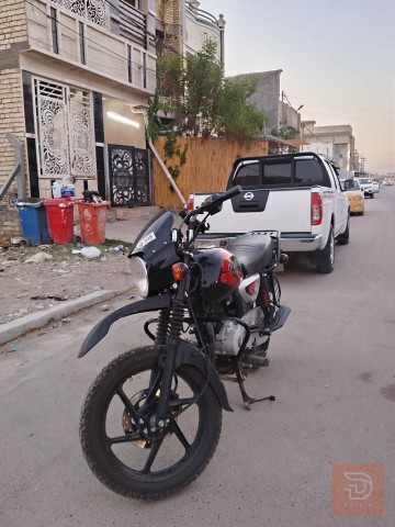 بوكسر جبلي 2023 للبيع في بغداد