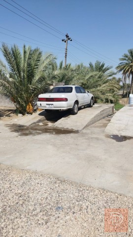 سيارة مكفولة للبيع في الديوانية