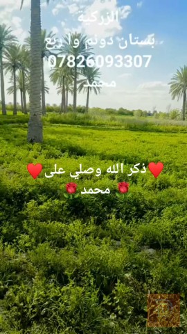دونم ارض للبيع في الأنبار