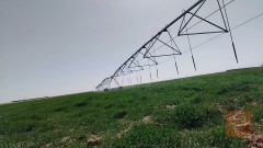 مزرعة ذكية مساحة ٢٥٠ دونم للبيع في الأنبار