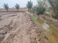 أرض زراعية دونم ونصف سند 25 مفوض للبيع في بابل