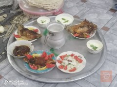 شريك طباخ لمحل مأكولات — عموم العراق