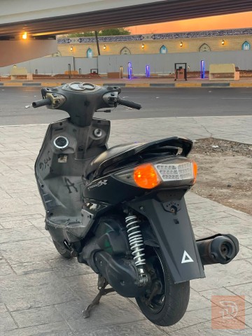 سكنس فحل حديث وكالة مكفولة للبيع في بغداد