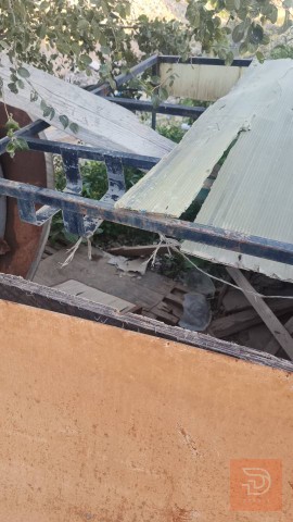 جنج ستوتة درجة أولى للبيع في كركوك