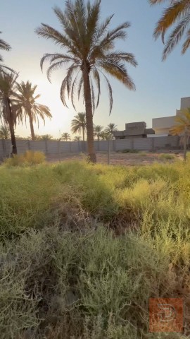 قطعة أرض ٥٠٠ متر سند زراعي للبيع في كربلاء المقدسة