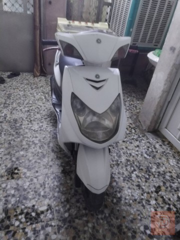 سكنس فحل نظيف مستعمل للبيع في بغداد